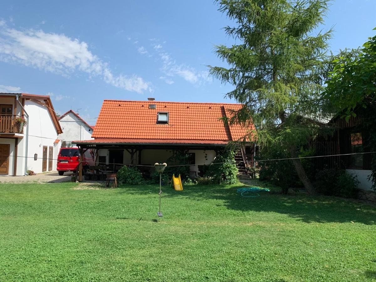 Rybarska Basta Vikletice - Apartmany A Bungalovy - Nechranicka Prehrada المظهر الخارجي الصورة