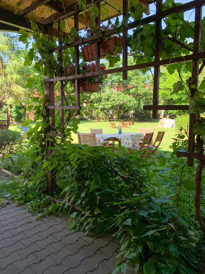 Rybarska Basta Vikletice - Apartmany A Bungalovy - Nechranicka Prehrada المظهر الخارجي الصورة